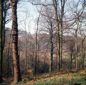 Alderley Edge Print: April 1974, Cheshire
