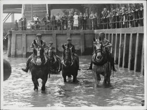 1000to1099 Prints: The Horse Wash at Victoria Pier, Hull Print 1948