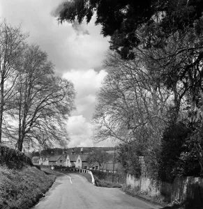 The Lane from Chenies Print, Buckinghamshire Circa 1950