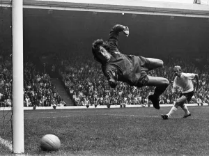 Ray Clemence in Action for Liverpool Print, 25th August 1973