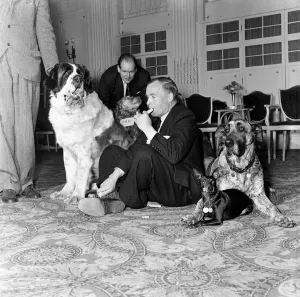 Vintage Animal Photos Prints: The National Association of Dog Biscuit Manufacturers cocktail party