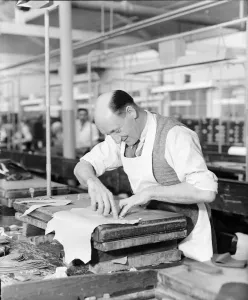 Prints of A worker at the Mansfield shoe factory in Northampton, cutting out a leather shoe upper. 26th April 1956 Northamptonshire Prints: Mansfield Shoe Factory, Northampton, 26th April 1956 Print