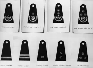 Firefighter Prints: National Fire Service Rank Badges Print (1941)