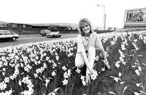 Images Dated 8th April 1985: Miss Evening Chronicle Jacqui Failes among the daffodils on Scotswood Road