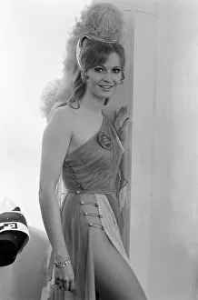 November Gallery: 4 Nov 1971 Collection