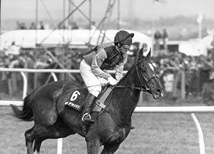 Grand National Gallery: Mister Frisk ridden by Marcus Armytage seen here before the start of the 1990 Grand