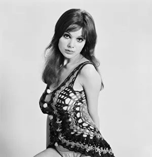 Images Dated 25th March 1971: Model and horror film actress Madeline Smith poses in the studio. 25th March 1971