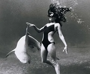 Model Marty Worsham of Florida glides through the waters with a shark in silhouette Model Marty Worsham of Florida glides through the waters with a shark in silhouette