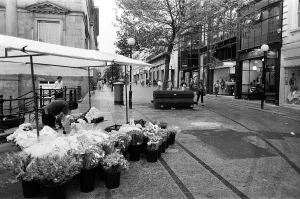 Images Dated 30th June 1992: Morning views of Bold Street, Liverpool. 30th June 1992