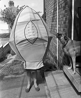 Mrs Hilda Watson tries on a giant 4 foot rugby ball as her dog Amber watches on bemused Mrs Hilda Watson tries on a giant 4 foot rugby ball as her dog Amber watches on bemused