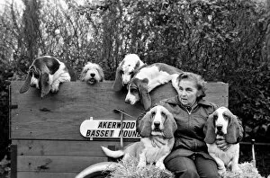 Mrs. Joan Walker and Dogs: Mrs. Joan Walker of Reading has got a record at Cruft'