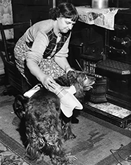 Mrs. Mathison of Hull is sufered with arthritis and moves around the house in a wheeled Mrs. Mathison of Hull is sufered with arthritis and moves around the house in a wheeled
