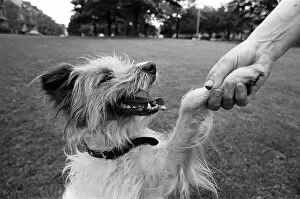 Images Dated 15th July 1970: Mrs Moira West, aged 56, from Harrogate, pictured with her dog Jimmy