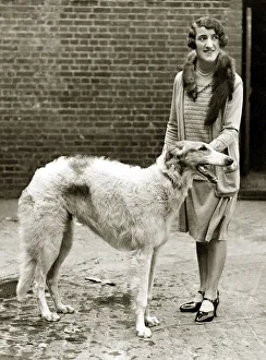 Mrs P Lewis and her Borzoi dog Her Borzoi won two second prizes Mrs P Lewis and her Borzoi dog Her Borzoi won two second prizes