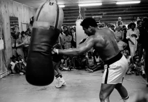 Muhammad Ali Boxer August 1978 (aka Cassius Clay) training for the fight with Leon Muhammad Ali Boxer August 1978 (aka Cassius Clay) training for the fight with Leon