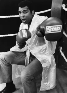 Muhammad Ali Gallery: Muhammad Ali poses in a boxing ring in a sparring pose wearing boxing gloves with Daily