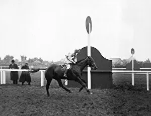 Images Dated 24th May 2012: Music Hall wins the Grand National in 1922