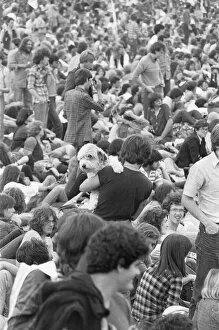 Images Dated 15th July 1978: Music loving pet owner decided to bring his dog to The Picnic pop concert at Blackbushe