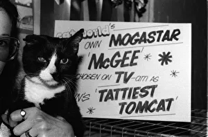 December Gallery: 8 Dec 1984 Collection