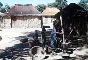 Images Dated 1st October 1973: native woman pounding manioc in luando at the game reserve in central Angola