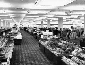 November Gallery: 2 Nov 1971
