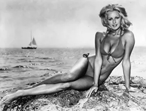 1500to1599 Gallery: 01524 Collection