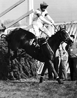 1981 Gallery: No46 Aldaniti with Bob Champion jumps the last fence to win the 1981 Grand National at