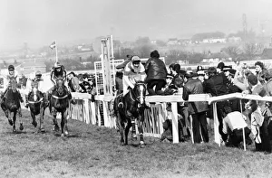 No46 Aldaniti with Bob Champion wins the 1981 Grand National at Aintree 6th April 1981 No46 Aldaniti with Bob Champion wins the 1981 Grand National at Aintree 6th April 1981