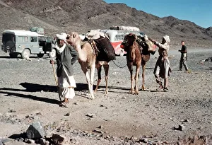 Nomads with Camels near Zahedan Iran -Pakistan Border Nomads with Camels near Zahedan Iran -Pakistan Border