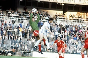 Images Dated 29th May 1980: Nottingham Forests V Hamburg European Cup Final 1980