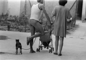 Nudism August 1979 Apharodite an English owned naturist Village in Port Leucate Nudism August 1979 Apharodite an English owned naturist Village in Port Leucate