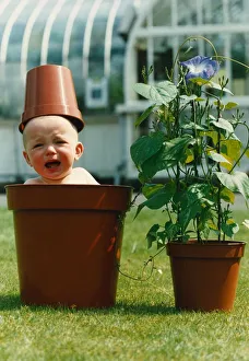 Oliver McNulty sits in a flower plant pot with a pot on top of head crying at Oliver McNulty sits in a flower plant pot with a pot on top of head crying at