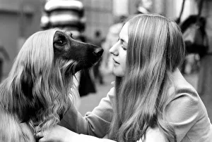 Mirror/0000to0099 00052/olympia crufts dog snow february 1975 75 00744 Mirror/0000to0099 00052/olympia crufts dog snow february 1975 75 00744