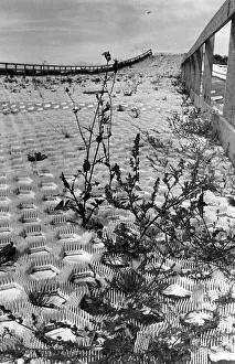 The overgrown ski slope at Kirkby, 11 September 1975 The overgrown ski slope at Kirkby, 11 September 1975