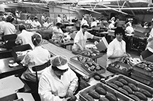 00786 Gallery: Packing on the Easter Egg production line at Cadburys Chocolate Bournville factory