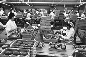 Images Dated 22nd January 1970: Packing on the Easter Egg production line at Cadburys Chocolate Bournville factory