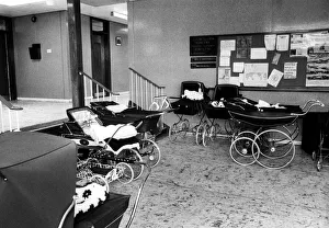 Passers-by would be forgiven for thinking there waw a baby boom at Hedworthfield Passers-by would be forgiven for thinking there waw a baby boom at Hedworthfield