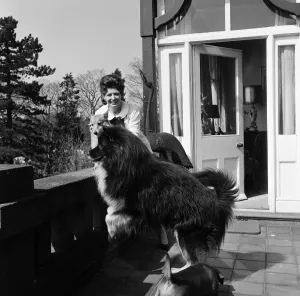 Pat Phoenix at home with her dogs. 16th April 1968 Pat Phoenix at home with her dogs. 16th April 1968
