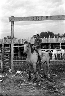 Images Dated 29th December 1980: People: Cowboys with horses at a ranch in the USA. December 1980 80-07236-005