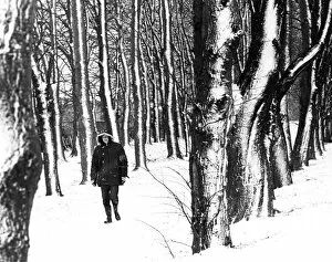 Person walking in woods. Guisborough, Middlesbrough. 28th November 1980