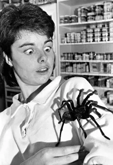 Pet shop assistant Andrea Youll with Harry, believed to be the largest spider in