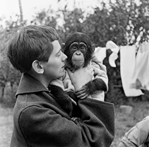 Photo shows Gerald Durrell and Jacqueline Durrell with their pet Chimpanzee Cholmondley Photo shows Gerald Durrell and Jacqueline Durrell with their pet Chimpanzee Cholmondley