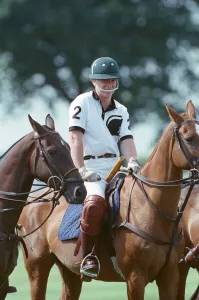 Images Dated 16th July 1991: Picture shows Major James Hewitt (wearing white shirt number 2)