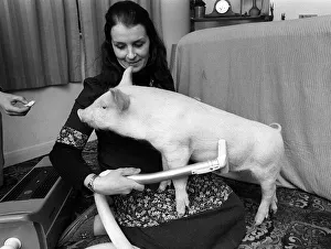The pig called oinkers gets a scrub in the bath from the lady who saved his bacon The pig called oinkers gets a scrub in the bath from the lady who saved his bacon
