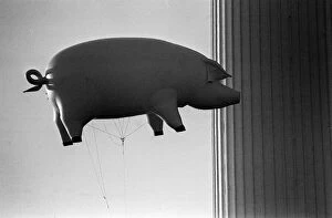 Pink Floyd Inflatable Flying Pig at Battersea December 1976 Power Station in London