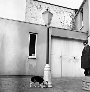 Images Dated 2nd January 1970: Plastic lamp post for dogs home. January 1970 70-00035-001