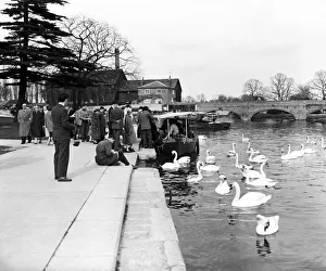 Pleasure boat on the River Avon at Stratford-upon-Avon, Warwickshire. 6th April 1959 Pleasure boat on the River Avon at Stratford-upon-Avon, Warwickshire. 6th April 1959