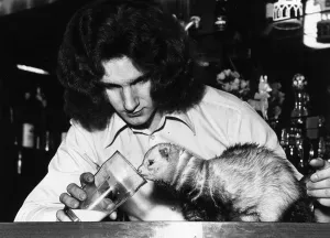 Pole Cat called Snagglepuss with owner Graham Cowlie at Oatridge Hotel bar in Uphall Pole Cat called Snagglepuss with owner Graham Cowlie at Oatridge Hotel bar in Uphall