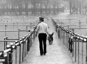 Police dog handler checks specially built enclosure to house vast crowd ahead of Pope Police dog handler checks specially built enclosure to house vast crowd ahead of Pope