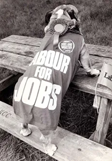 Political Campaign Posters - 1987 The Labour Party - T shirt dog standing Political Campaign Posters - 1987 The Labour Party - T shirt dog standing